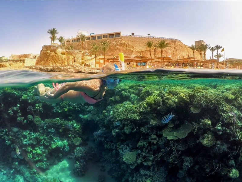 Sharm Gidiş Kahire Dönüş Turu
